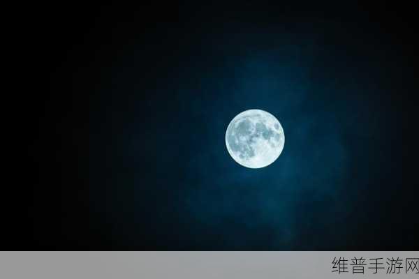 江州令1V2H：1. 江州雨夜愁思，月下独行人影