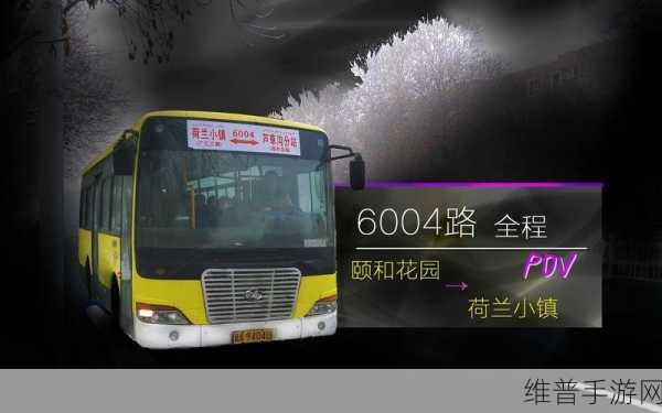 揭秘YINLUAN小镇公交车尺寸:揭开YINLUAN小镇公交车尺寸背后的秘密与影响