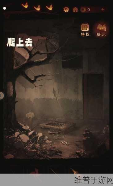 纸嫁衣 5 无间梦境第四章全攻略指南