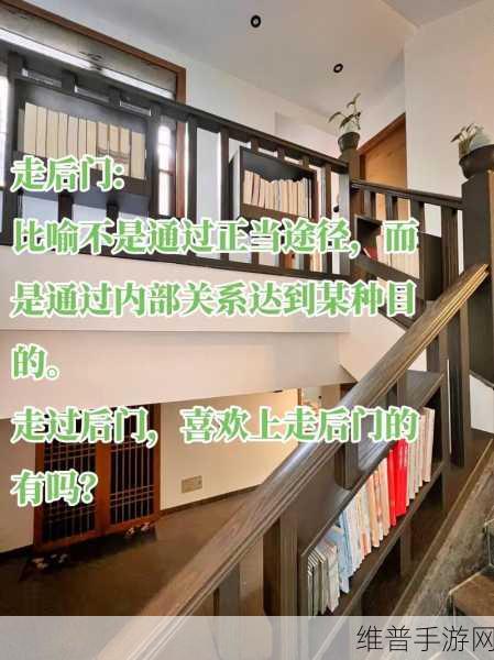 正确走后门的方法视频完整版被内部泄露：1. 内部泄露：揭秘正确走后门的完整方法