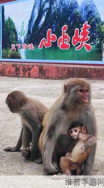二人生猴子全程无被子：1. ＂无被子恋情中的温暖与挑战