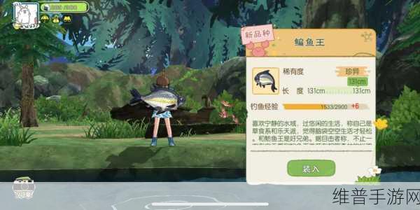 小森生活木灵峡谷服装穿搭全攻略