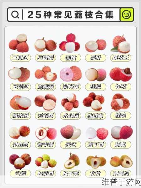 精产国品一二三产区草莓：1. 精产国品：探索一二三产区草莓的独特魅力
