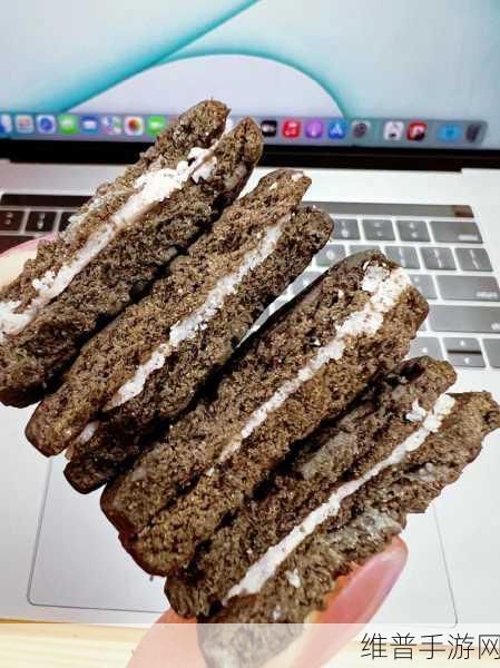 双龙进洞夹心饼干：1. 双龙进洞夹心饼干：让味蕾飞翔的美妙体验