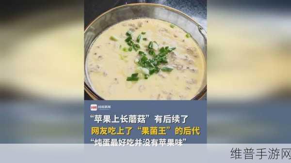 17.c-起草旧版：当然可以！以下是一些基于“17.c-起草旧版”的新标题建议，每个标题不少于10个字：