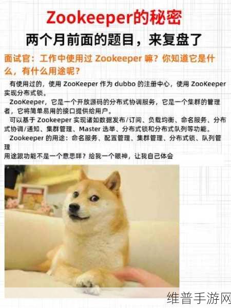 ZookeeperK9牧场：1. 探秘ZookeeperK9牧场：犬类训练与管理新模式