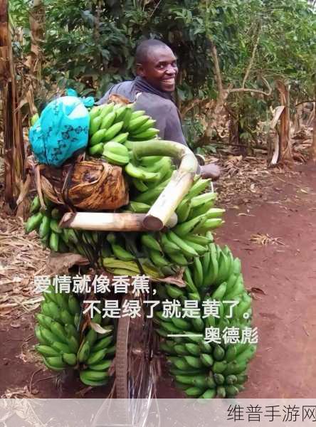 81香蕉视频：1. ＂探索81香蕉视频：乐趣无穷的视听盛宴