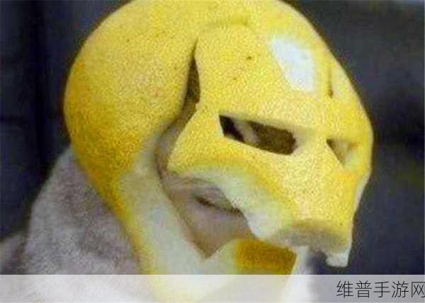 糖心logo柚子猫萌白酱：1. 糖心柚子猫的甜蜜日常与美好生活