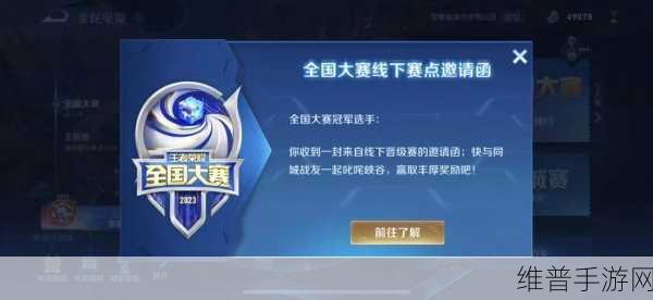 王者荣耀电竞选手成就解锁攻略，从市级到全国精英的全面指南