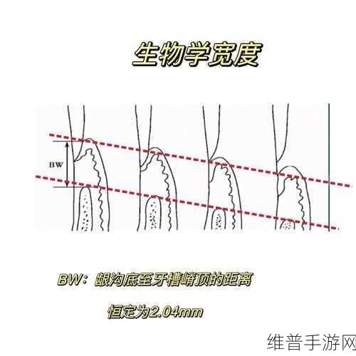 浓毛BwBwBwBwBw:1. 浓毛BwBwBw:探索浓密毛发的秘密与护发技巧