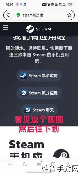 安卓系统下载手机版Steam全攻略