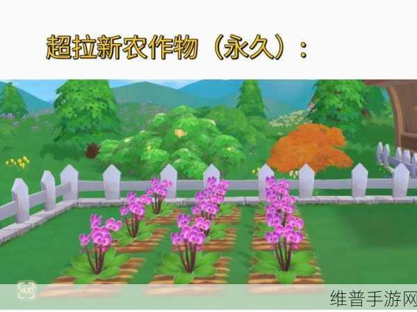 摩尔庄园手游，新手致富秘籍大公开