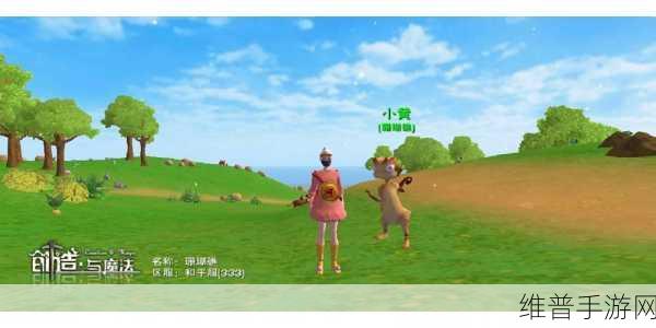 创造与魔法,解锁4月24日新坐骑阳光龙猫的全面攻略