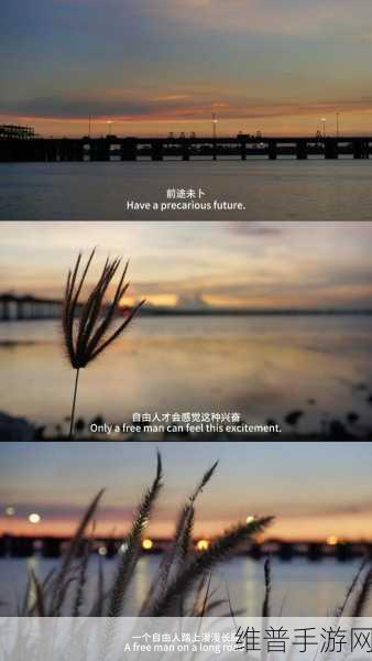 最好看2018年的中文字幕电影：当然可以，以下是一些基于2018年热门中文字幕电影的扩展标题建议：