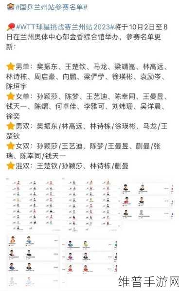 王楚钦微博取关了孙颖莎：王楚钦取关孙颖莎引发网友热议，背后原因成焦点解析