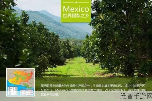 97精产国品一二三产区区：1. 探索97精产国品一二三产业区的创新发展路径