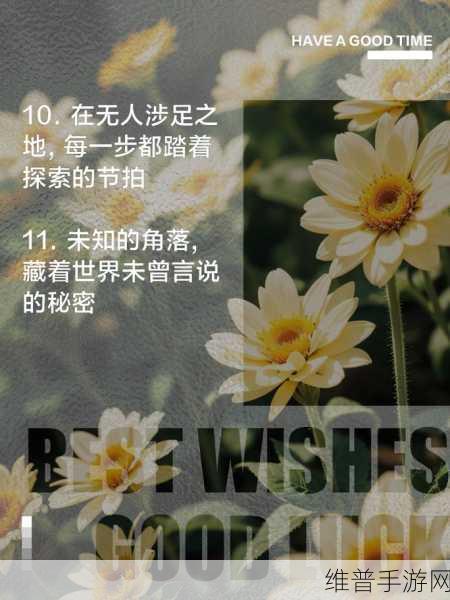 中文二幕区：1. 二幕区的秘密：探寻未知之境