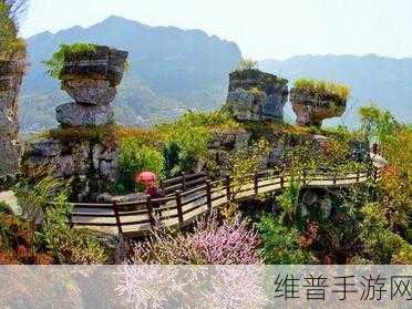 桃源深处有人家，揭秘水母灯的获取之道