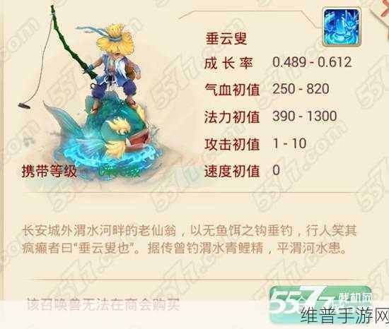 大话西游手游，垂云叟加点全攻略解析