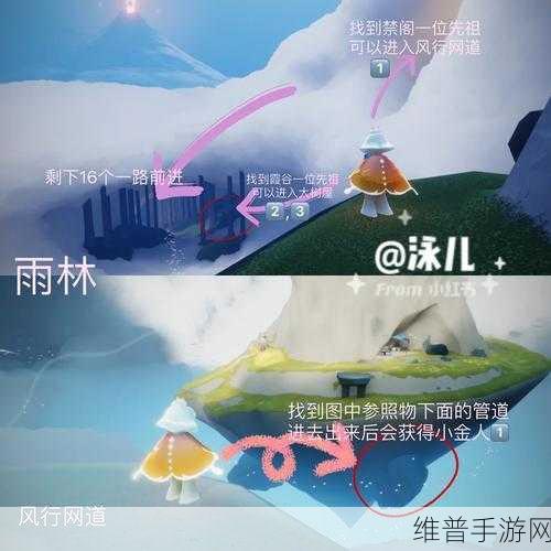 光遇雨林赏花位置全攻略，探索雨林的美丽秘境