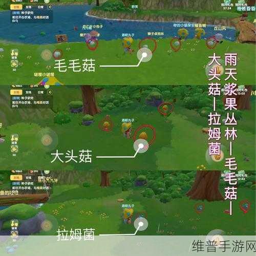 摩尔庄园手游人物变大技巧，揭秘人物角色变大卡BUG教程