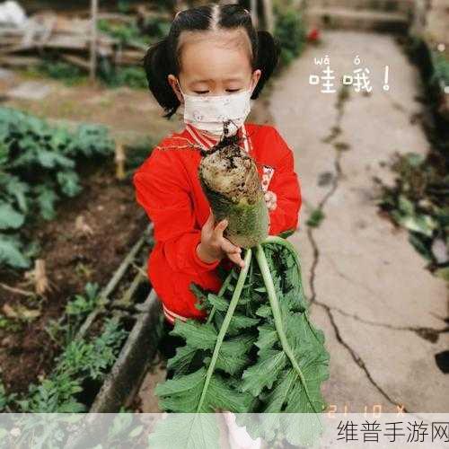 qq 亲吻拔萝卜原声不带歌词不盖被子：1. 《无拘无束的亲吻：拔萝卜的独特体验