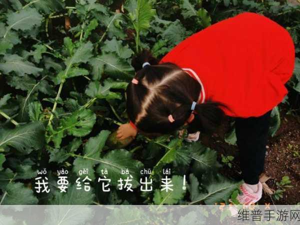 qq 亲吻拔萝卜原声不带歌词不盖被子：1. 《无拘无束的亲吻：拔萝卜的独特体验