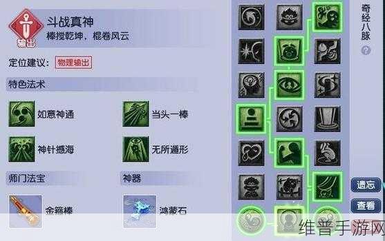 梦幻西游手游花果山经脉点路线图大全，如何精准加点提升战力
