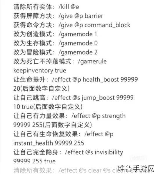 我的世界夜视指令揭秘，永久夜视效果指令分享