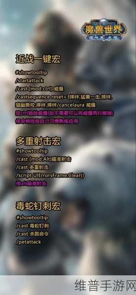 巫妖王之怒生存猎人没有瞄准射击的宏：巫妖王之怒：生存猎人宏技解析与瞄准射击替代方案