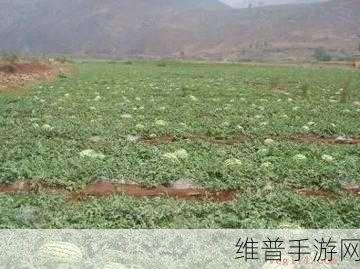 51fun吃瓜黑料不打烊：1. 吃瓜不停歇，黑料揭秘大盘点