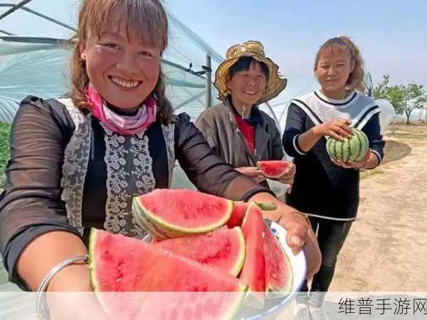 51fun吃瓜黑料不打烊:1. 吃瓜不停歇,黑料揭秘大盘点