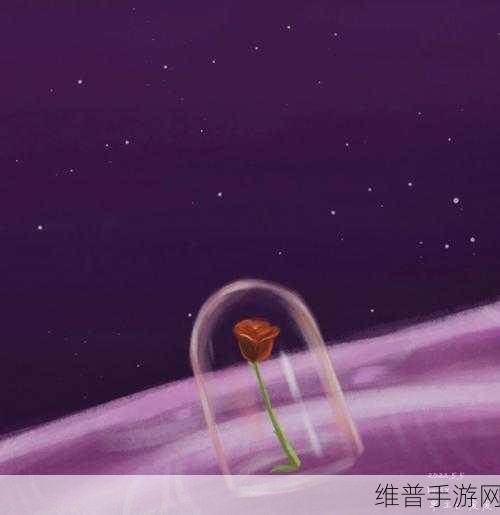 光遇紫色光芒寻觅指南,揭秘紫色光芒出现位置