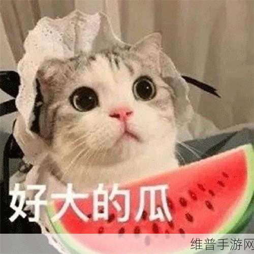 反差婊吃瓜:1. “反差婊的真实面目:吃瓜背后的故事”