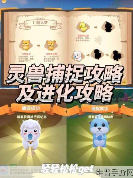 摩尔庄园手游牧场快速升级全攻略