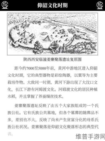 石器时代私服：1. 石器时代探秘：古人类的生存智慧与技艺