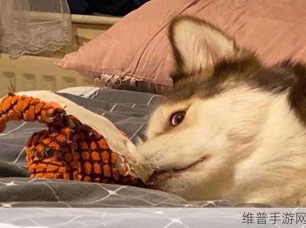 瑶遇见神鹿翻白眼流眼泪表情包：1. ＂当生活的烦恼袭来，她只能无奈翻白眼流泪
