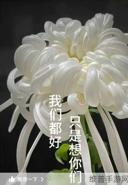 www禁天堂：当然可以！以下是一些基于“www禁天堂”概念的扩展标题，字数均不少于10个字：