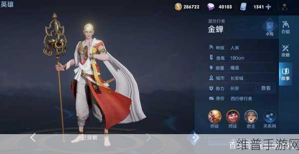 王者荣耀金蝉皮肤格子深度解析，最新内容全揭秘