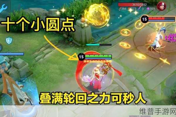 王者荣耀金蝉皮肤格子深度解析,最新内容全揭秘