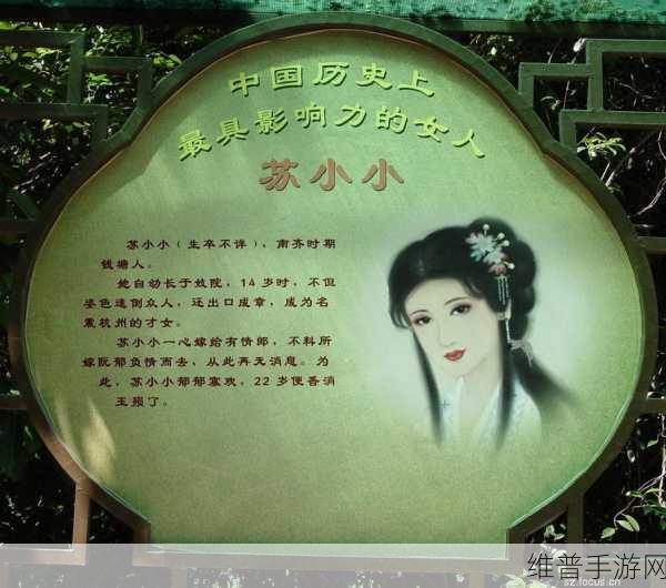 京东影业jd008苏小小：1. 《苏小小传奇：爱与勇气的交响曲