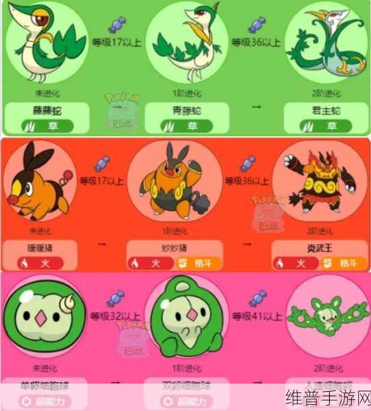 宝可梦大探险，全面解析精灵好坏判断方法