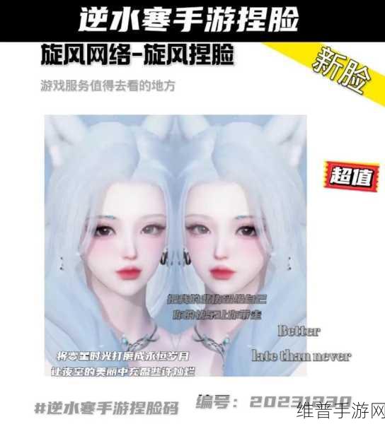逆水寒手游捏脸数据导入全攻略,打造个性化角色形象