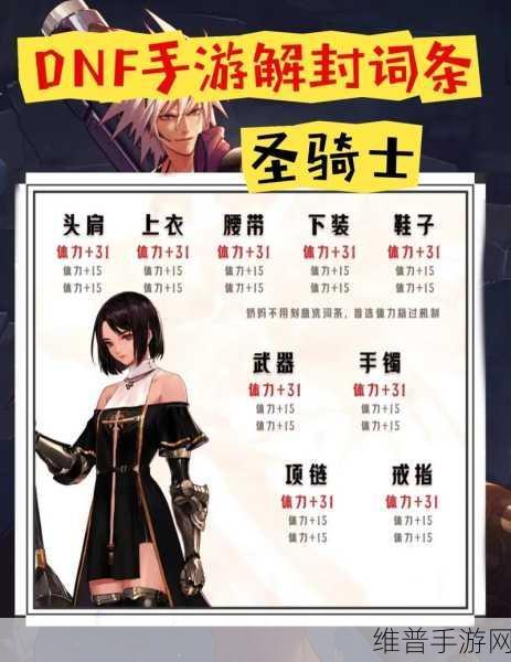 DNF手游攻略，深度解析白字词条及其影响