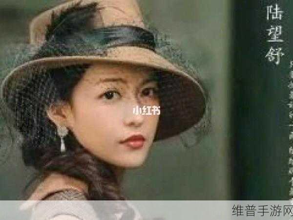 隐形守护者 steam价格：隐形守护者：探索幕后秘密的沉浸体验与价格分析