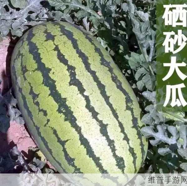 51cg今日吃瓜热门大瓜必看大瓜：1. 今日吃瓜热议：背后的惊人真相揭秘！