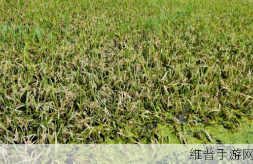 一线产区和二线产区的气候条件：1. 一线产区与二线产区气候差异对农业的影响