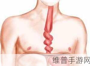 八挂海痉挛口吐白沫:1. 海痉挛:探索神秘的生物现象与治疗方法