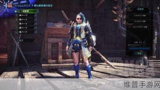怪物猎人手游攻略,全面解析子弹调配技巧
