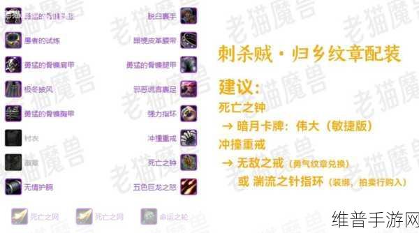 魔兽世界盗贼选什么种族：魔兽世界盗贼种族选择指南：最佳搭配与玩法解析